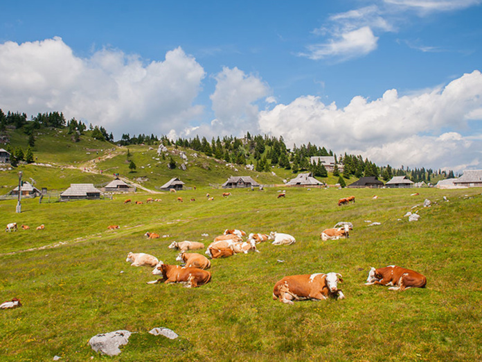 © Terra Balka © Terra Balka