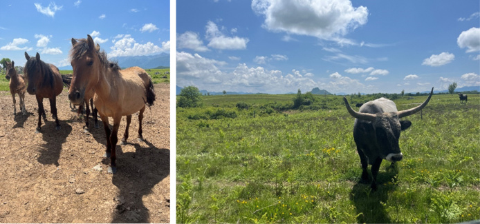 © Terra Balka © Terra Balka