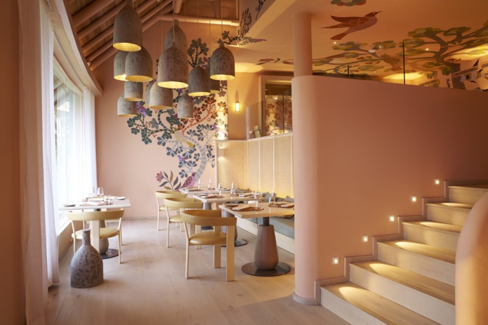 Amari by Vineet © The Lux Collective Amari by Vineet © The Lux Collective