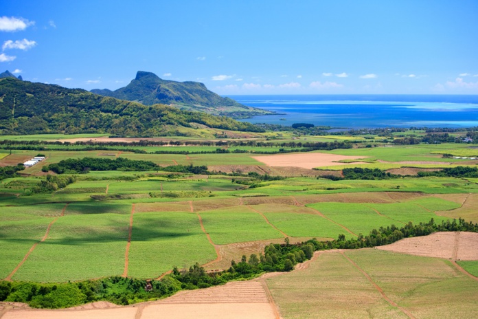 Ile Maurice : le gouvernement aurait augmenté une taxe pour les touristes qui pourrait s'appliquer de manière rétroactive - Depositphotos.com Auteur shalamov