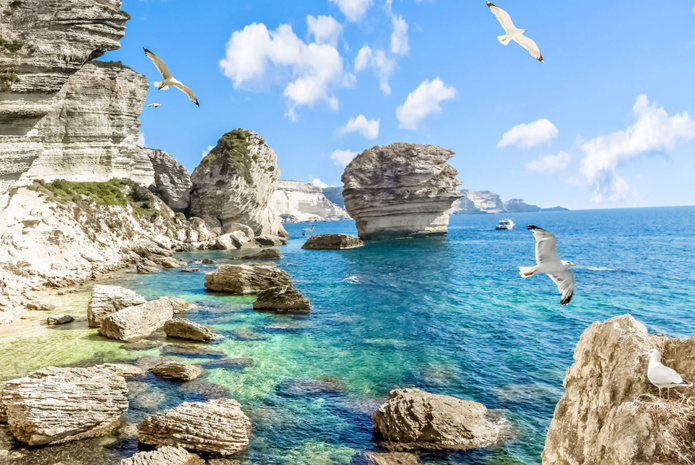 © unclesam - Adobe Stock © unclesam - Adobe Stock