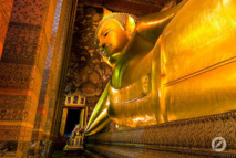 © Prodesti © Prodesti