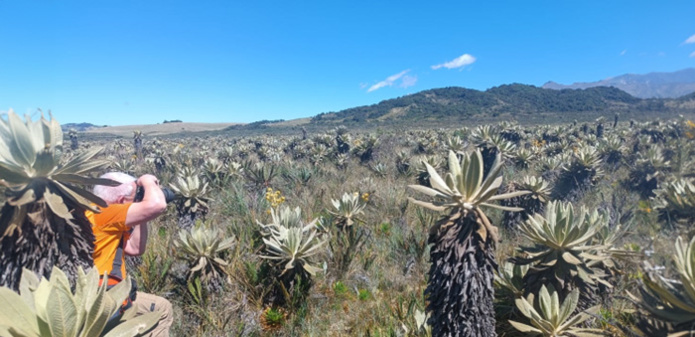 Sur la route de Popayán ©DylanMelo, guide local Sur la route de Popayán ©DylanMelo, guide local