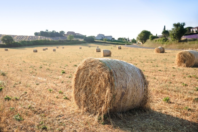 Des milliers d’agriculteurs partout dans le monde ont intégré à leur emploi du temps, les activités liées au tourisme, épaulés par les chambres d’agriculture, conseils départementaux, régionaux, des ONG, des ministères… - Depositphotos.com Auteur AlexGukBO Des milliers d’agriculteurs partout dans le monde ont intégré à leur emploi du temps, les activités liées au tourisme, épaulés par les chambres d’agriculture, conseils départementaux, régionaux, des ONG, des ministères… - Depositphotos.com Auteur AlexGukBO