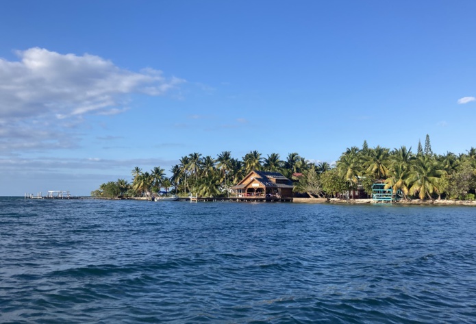 Voyage Belize : A ceux qui connaissent les Caraïbes, la terre ferme bélizienne rappellera sans surprise la fertilité végétale des tropiques - JFR Voyage Belize : A ceux qui connaissent les Caraïbes, la terre ferme bélizienne rappellera sans surprise la fertilité végétale des tropiques - JFR
