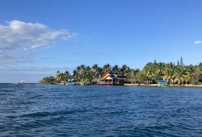 Voyage Belize : A ceux qui connaissent les Caraïbes, la terre ferme bélizienne rappellera sans surprise la fertilité végétale des tropiques - JFR