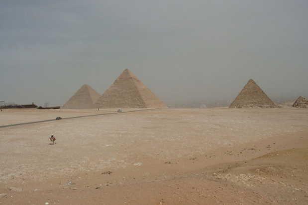 L'Egypte, avec Étapes Nouvelles, trouve doucement mais sûrement sa place dans la programmation. Le TO lui restera fidèle même dans les moments les plus dramatiques - JDL L'Egypte, avec Étapes Nouvelles, trouve doucement mais sûrement sa place dans la programmation. Le TO lui restera fidèle même dans les moments les plus dramatiques - JDL