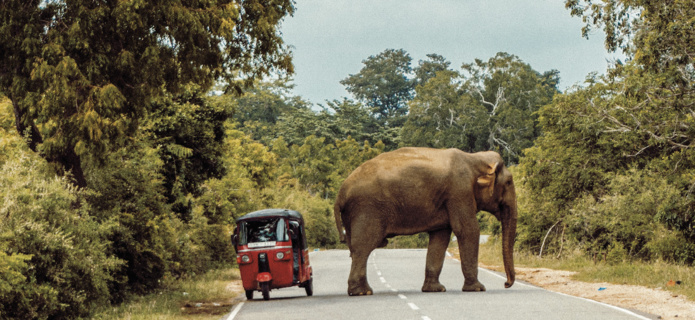 Le Sri Lanka, Trésors de Ceylan", en 12 jours/9 nuits à partir de 1745 € - Salaün Holidays Le Sri Lanka, Trésors de Ceylan", en 12 jours/9 nuits à partir de 1745 € - Salaün Holidays