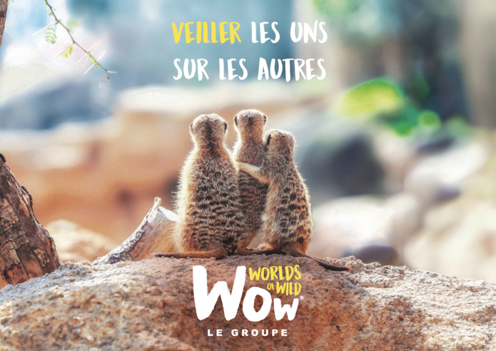 Comme dans la nature, "l’union fait la force" - Wow safari Thoiry Comme dans la nature, "l’union fait la force" - Wow safari Thoiry