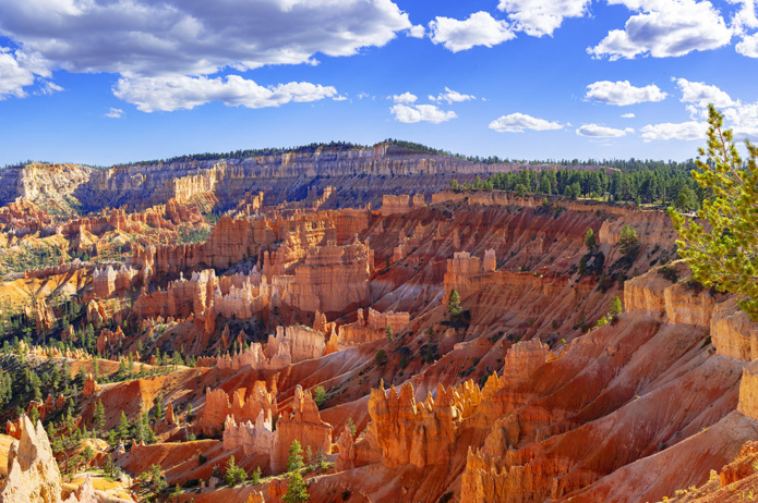 © Getty Images © Getty Images