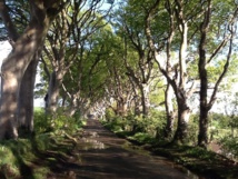 Hors Belfast et Derry, le pays est une vaste campagne - DR : J-P.C. Hors Belfast et Derry, le pays est une vaste campagne - DR : J-P.C.