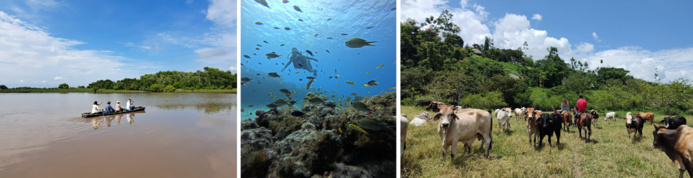 © Terra Colombia © Terra Colombia