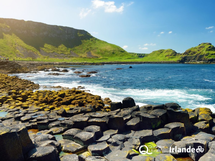 © Quartier Libre © Quartier Libre