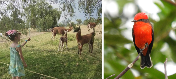 ©mariannejagu / dylanmelo ©mariannejagu / dylanmelo