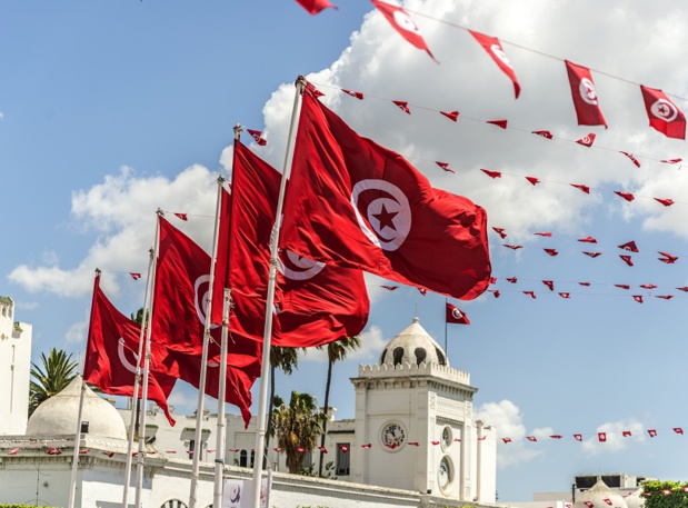 La Tunisie cherche à relancer son tourisme - DR : jjmillan - Fotolia.com La Tunisie cherche à relancer son tourisme - DR : jjmillan - Fotolia.com
