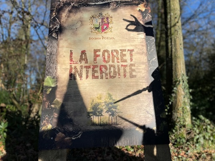 Replonger dans l'univers d'Harry Potter dans la forêt interdite du château Rocher Portail en Bretagne - Château Rocher Portail