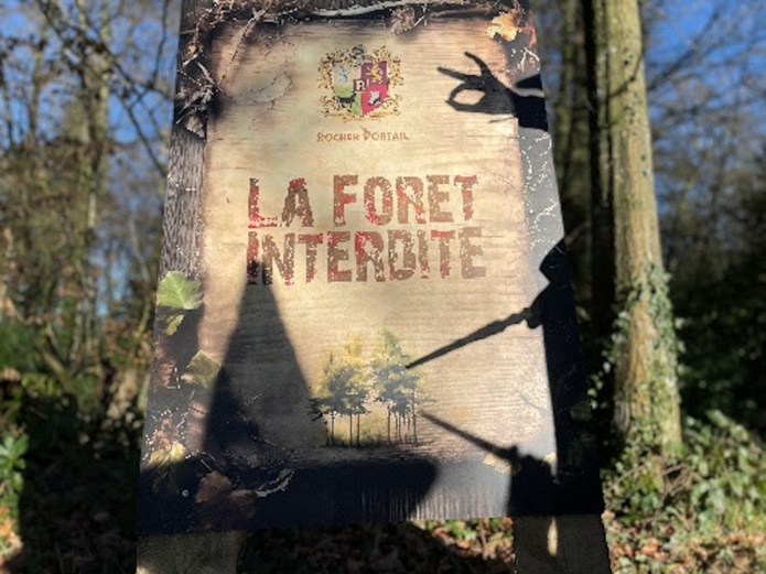 Replonger dans l'univers d'Harry Potter dans la forêt interdite du château Rocher Portail en Bretagne - Château Rocher Portail Replonger dans l'univers d'Harry Potter dans la forêt interdite du château Rocher Portail en Bretagne - Château Rocher Portail