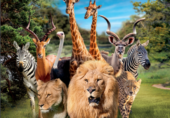 Le Zoo de La Flèche dévoile ses nouveautés 2024 - Photo : ©Zoo de La Flèche Le Zoo de La Flèche dévoile ses nouveautés 2024 - Photo : ©Zoo de La Flèche