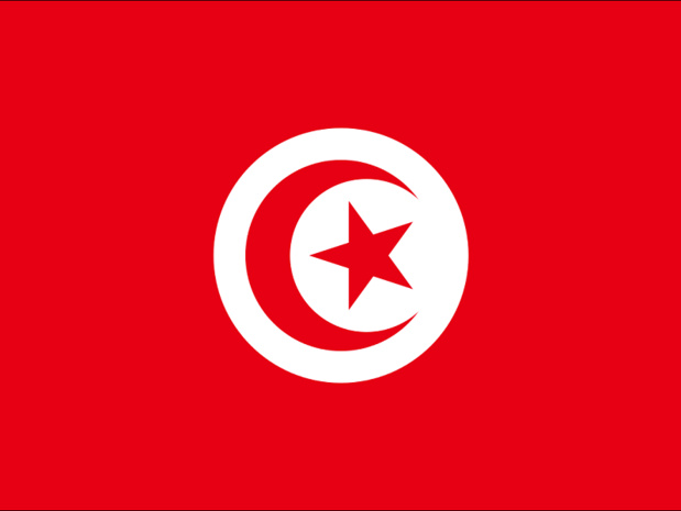 Tunisie : retrouvez le dossier de TourMaG.com Tunisie : retrouvez le dossier de TourMaG.com