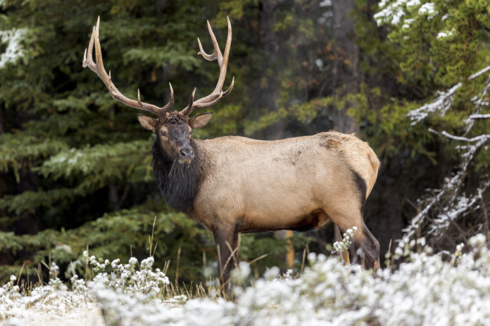 © Colleen Gara © Colleen Gara