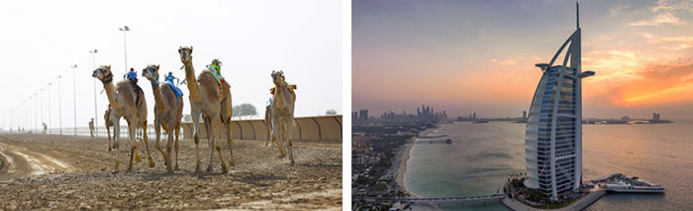 © DTCM Dubai © DTCM Dubai