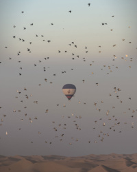 © DTCM Dubai © DTCM Dubai