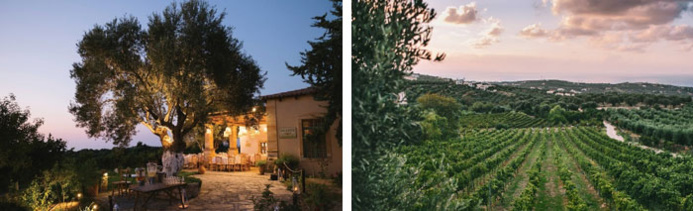 © Agreco Farm © Agreco Farm