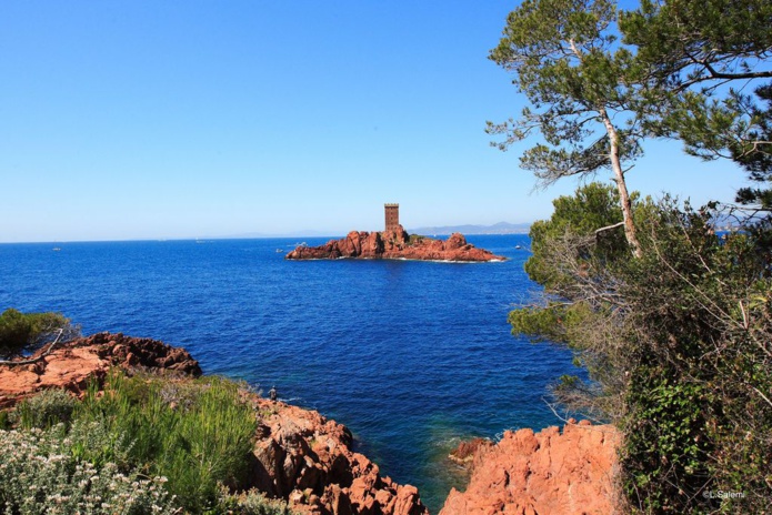 C'est dans ces paysages de rêve - lci, l'Île d'Or près de Saint-Raphaël- qu'a eu lieu le Débarquement de Provence, en août 1944 (© OT St Raphaël-L. Salemi) C'est dans ces paysages de rêve - lci, l'Île d'Or près de Saint-Raphaël- qu'a eu lieu le Débarquement de Provence, en août 1944 (© OT St Raphaël-L. Salemi)