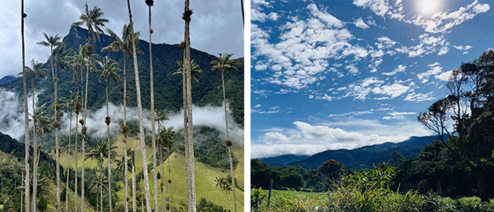 La vallée de Cocora, Colombie © Camillelepladec / La région luxuriante & volcanique de Boquete, Chiriqui, Panama © Panamauthentique La vallée de Cocora, Colombie © Camillelepladec / La région luxuriante & volcanique de Boquete, Chiriqui, Panama © Panamauthentique