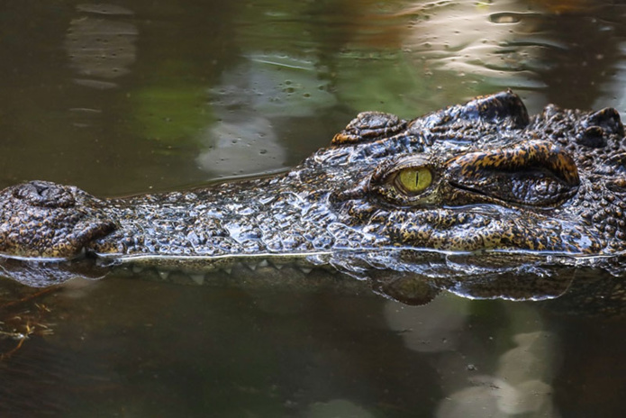 © Pixabay © Pixabay