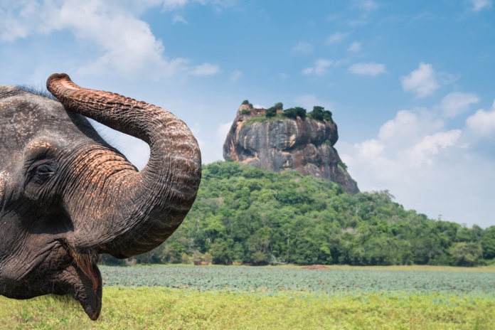 Le Sri Lanka remplace son ETA par un visa électronique | © ShutterStock Le Sri Lanka remplace son ETA par un visa électronique | © ShutterStock