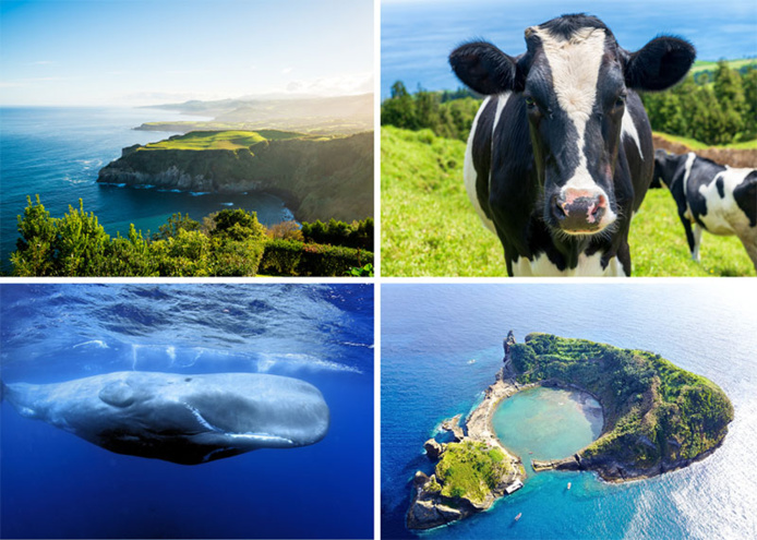 © Getty Images © Getty Images