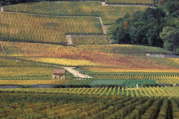 © Jean-Louis Bernuy/Mosaic of the Climats – Climats, terroirs of Burgundy (France)