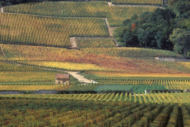 © Jean-Louis Bernuy/Mosaic of the Climats – Climats, terroirs of Burgundy (France) © Jean-Louis Bernuy/Mosaic of the Climats – Climats, terroirs of Burgundy (France)