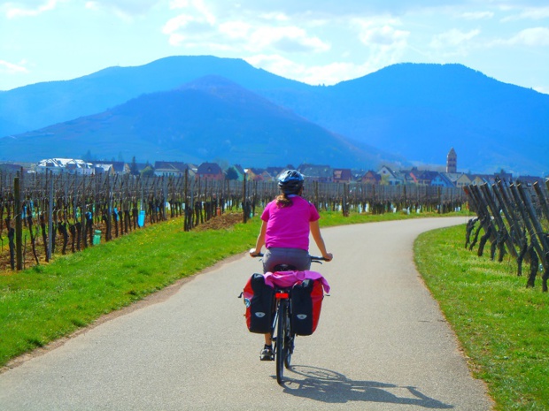 L'Alsace et ses voies vertes à travers les vignes fait partie des produits phares - DR : CycloGo