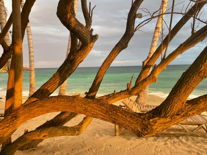 Fin de journée sur l'île de Cayo Levantado. Crédit : C.Hardin