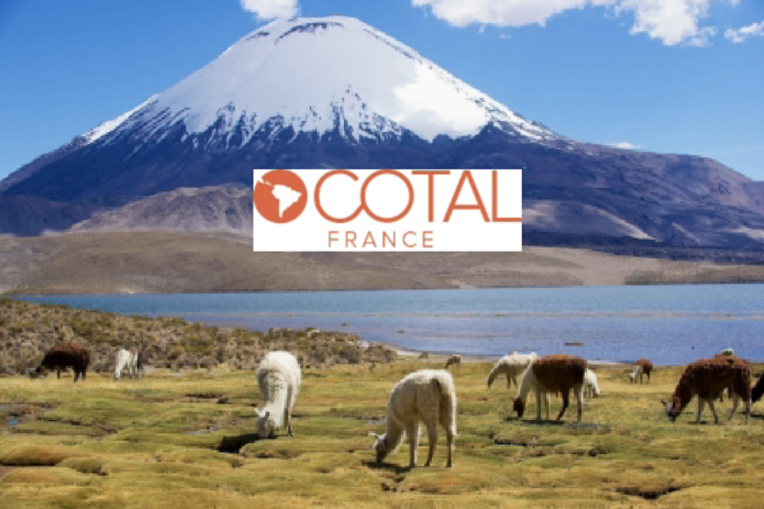 COTAL-France a lancé la quatrième saison de son programme E-learning - COTAL-France Montage AB COTAL-France a lancé la quatrième saison de son programme E-learning - COTAL-France Montage AB