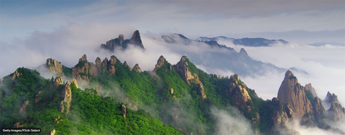 © Getty images/Flickr Select © Getty images/Flickr Select