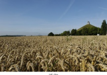 (c) WBT - JP Remy (c) WBT - JP Remy