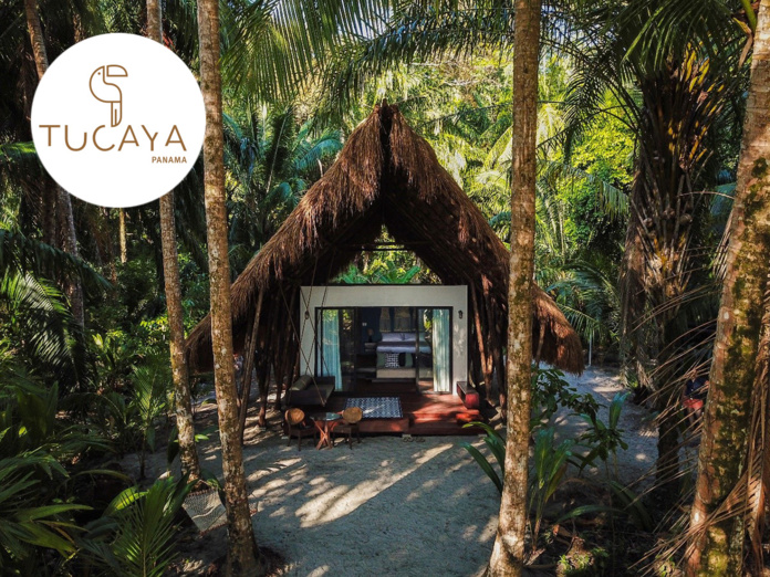 Isla Palenque - Cayuga collection © Golfo de Chiriqui, Panama Isla Palenque - Cayuga collection © Golfo de Chiriqui, Panama