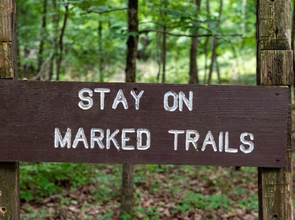 Adoptez le tourisme vert avec un séjour éco-responsable Adoptez le tourisme vert avec un séjour éco-responsable