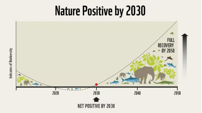 Source : Nature Positive 