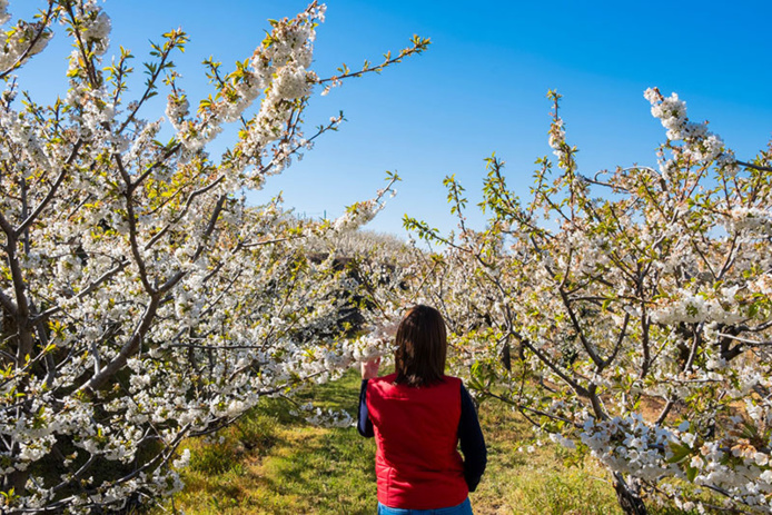 © Shutterstock © Shutterstock