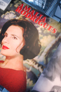 © Shutterstock © Shutterstock