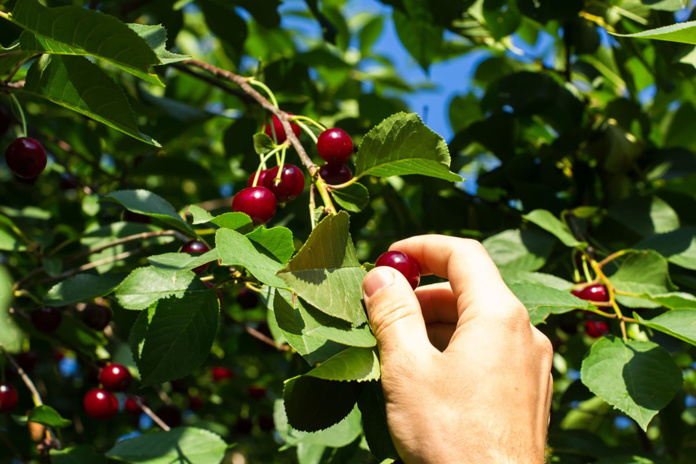 © Shutterstock © Shutterstock