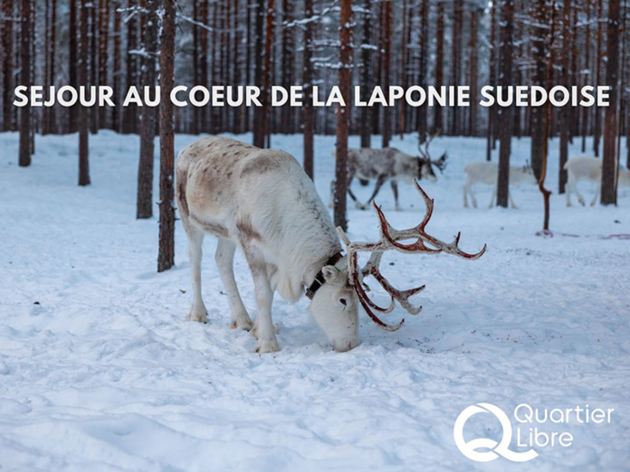 © Quartier Libre © Quartier Libre