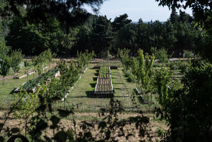 Le potager de l'Oustau de Baumanière, un concentré des saveurs des Alpilles (©VirginieOvessian/Baumanière) Le potager de l'Oustau de Baumanière, un concentré des saveurs des Alpilles (©VirginieOvessian/Baumanière)