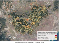 La carte, conçue par Mumuration nous révèle qu'en moyenne, les conifères ont perdu -23% de leur teneur en eau et les feuillus -27% - Crédit photo : Murmuration La carte, conçue par Mumuration nous révèle qu'en moyenne, les conifères ont perdu -23% de leur teneur en eau et les feuillus -27% - Crédit photo : Murmuration