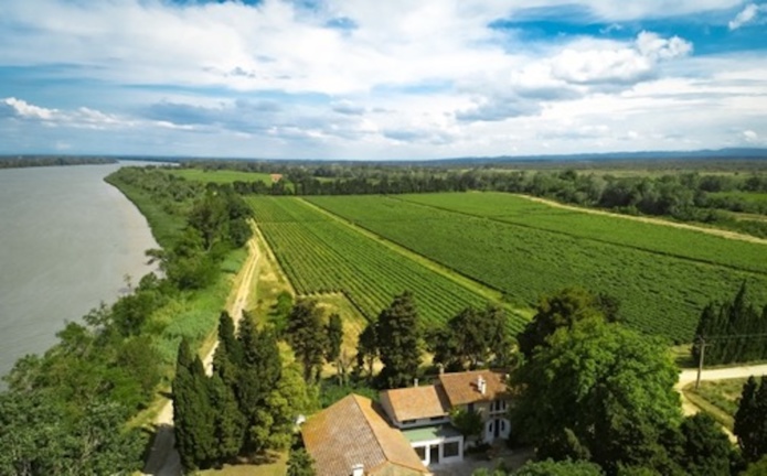 Le domaine viticole de l’Isle Saint Pierre est géré par les 3e et 4e générations d’une famille de vignerons - Fédération des Vignerons Indépendants de Provence Le domaine viticole de l’Isle Saint Pierre est géré par les 3e et 4e générations d’une famille de vignerons - Fédération des Vignerons Indépendants de Provence