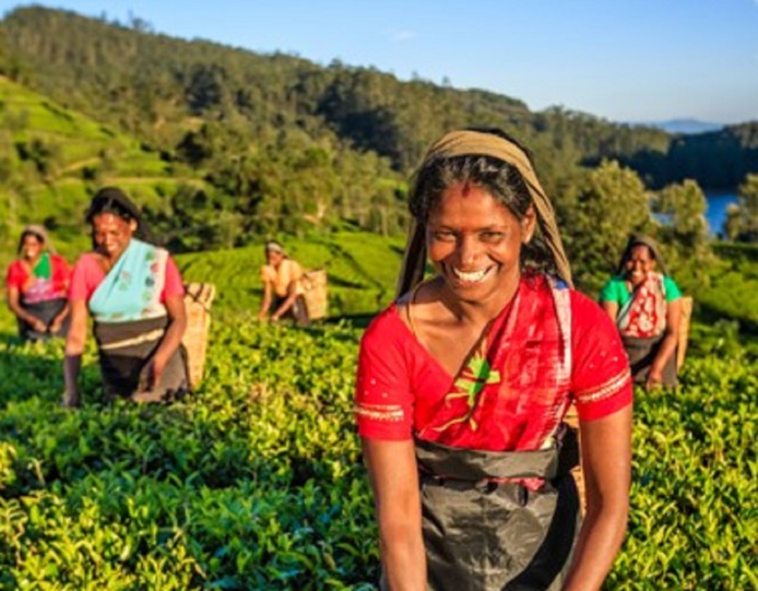 Beachcomber Tours ajoute le Sri Lanka à sa collection - Photo : ©Beachcomber Tours Beachcomber Tours ajoute le Sri Lanka à sa collection - Photo : ©Beachcomber Tours